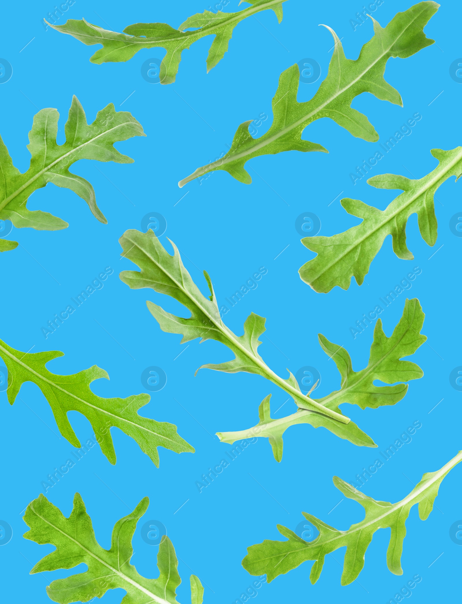 Image of Fresh green arugula in air on light blue background