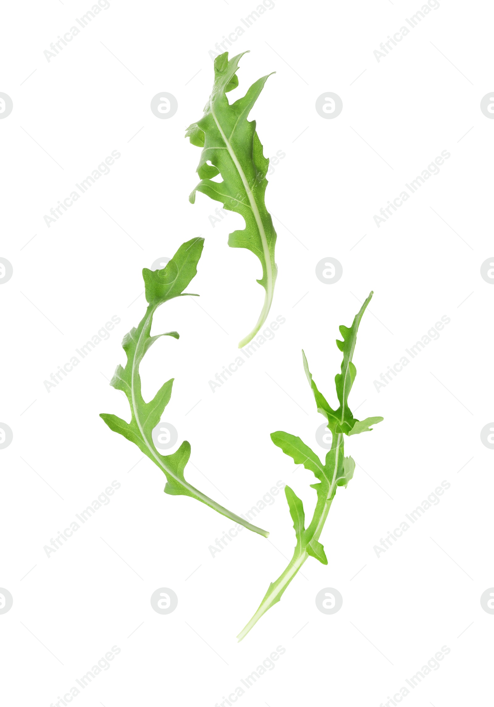 Image of Fresh green arugula in air on white background