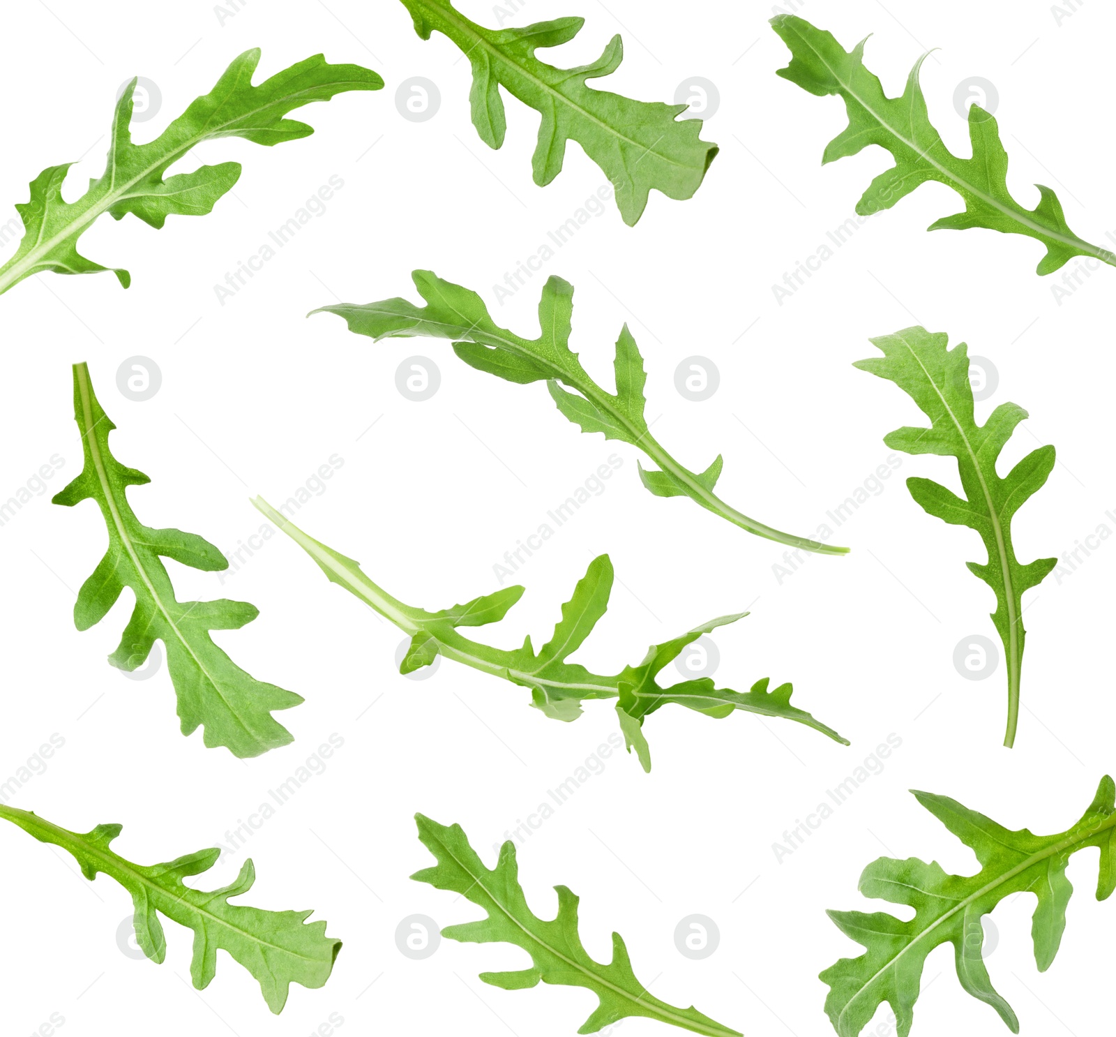 Image of Fresh green arugula in air on white background