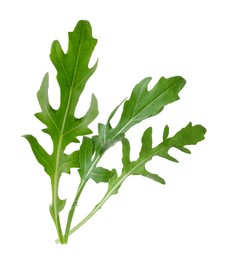 Image of Fresh green arugula on white background. Wholesome herb