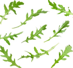 Fresh green arugula in air on white background