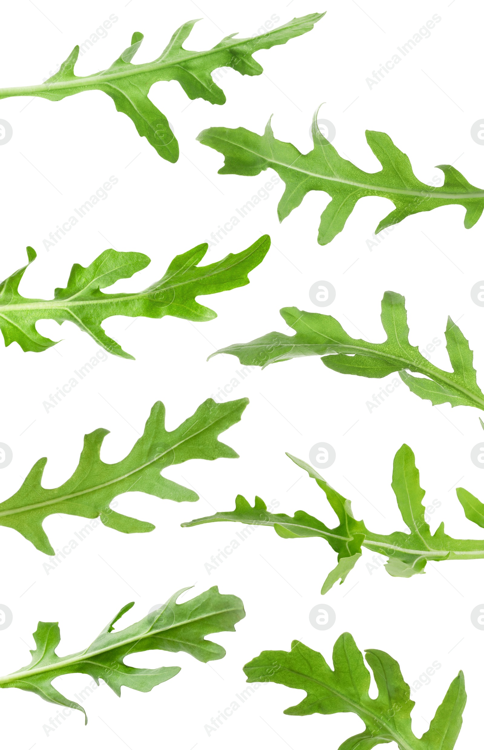 Image of Fresh green arugula in air on white background