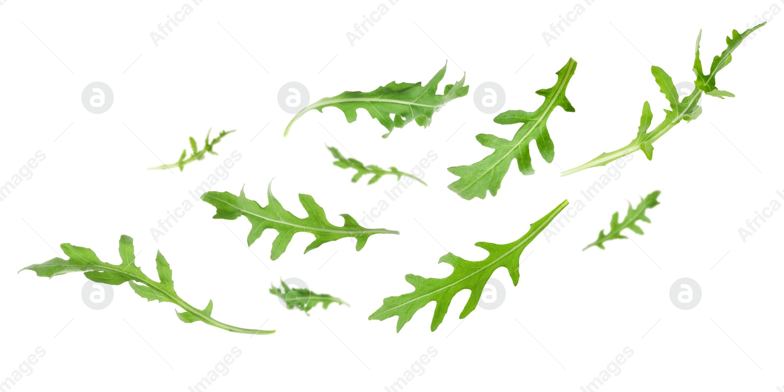 Image of Fresh green arugula in air on white background