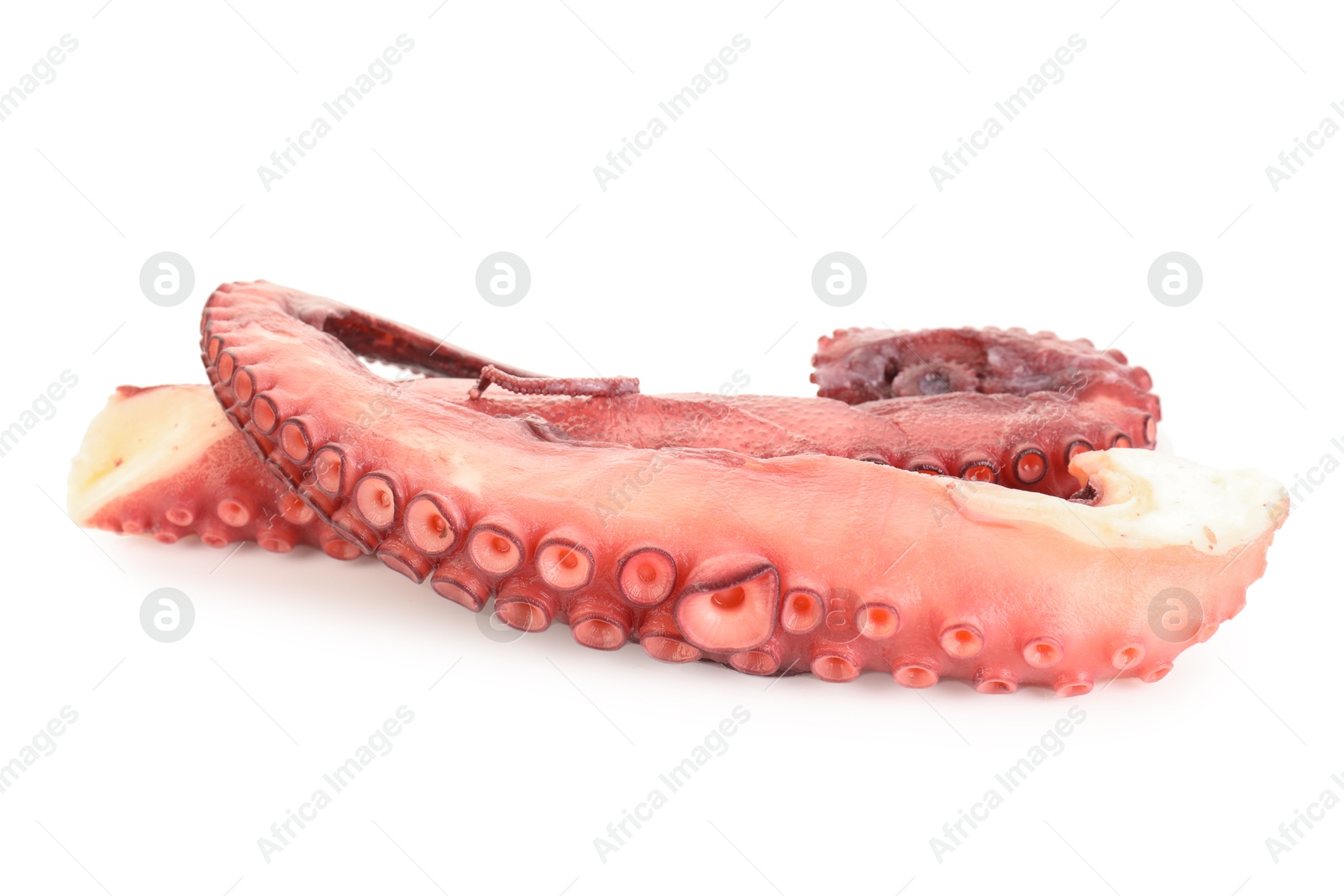 Photo of Two raw octopus tentacles isolated on white