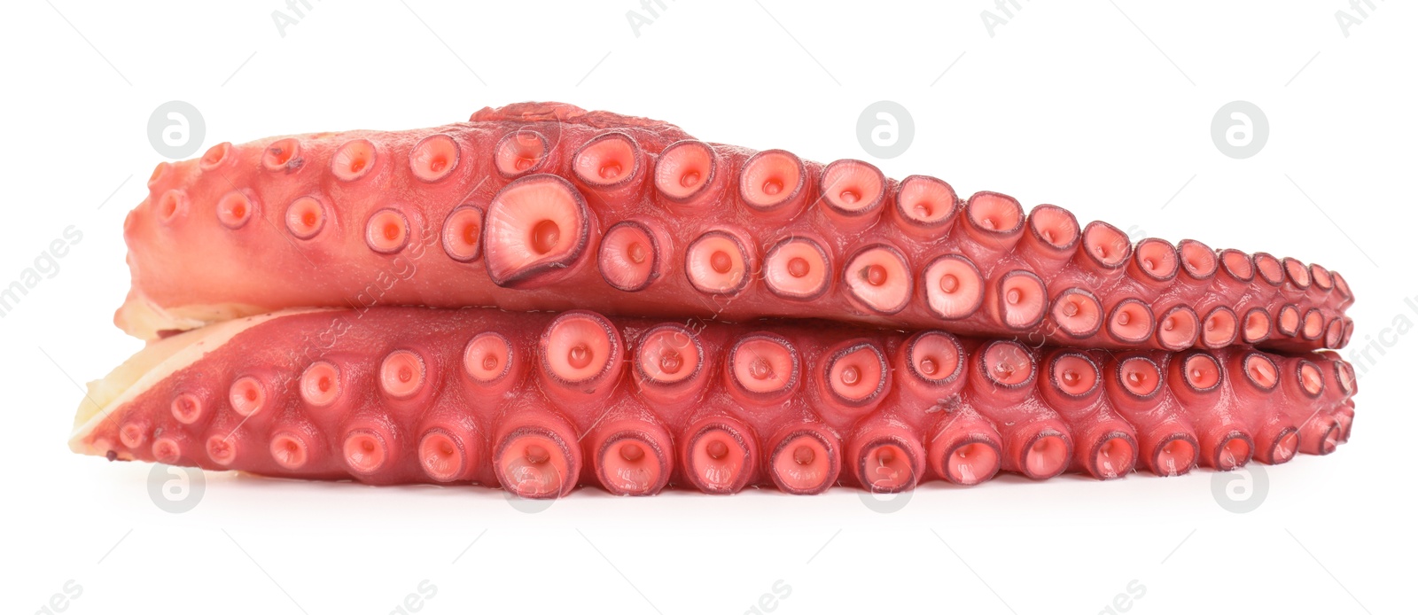 Photo of Two raw octopus tentacles isolated on white