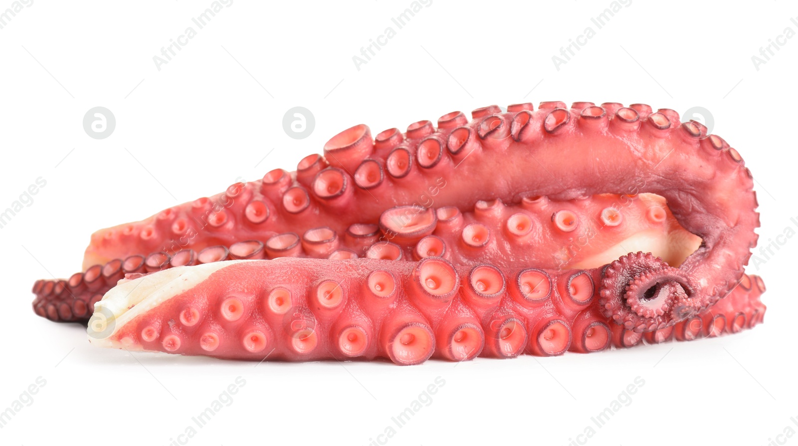 Photo of Three raw octopus tentacles isolated on white