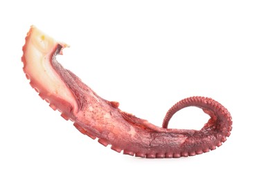 Photo of One raw octopus tentacle isolated on white