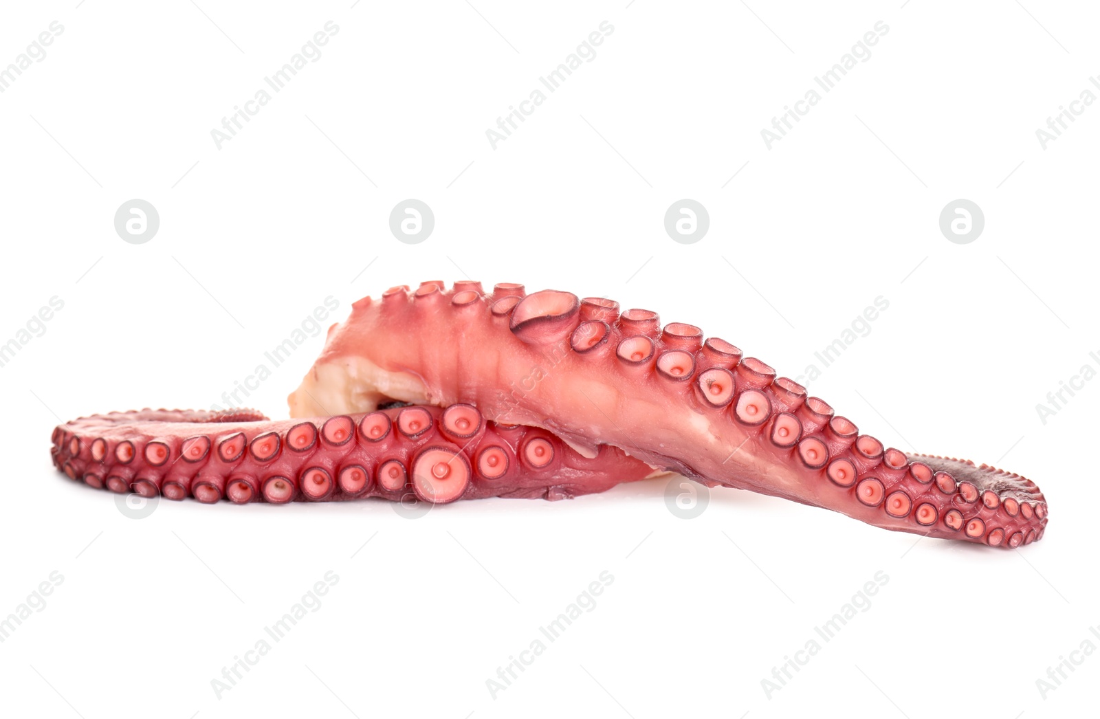 Photo of Two raw octopus tentacles isolated on white