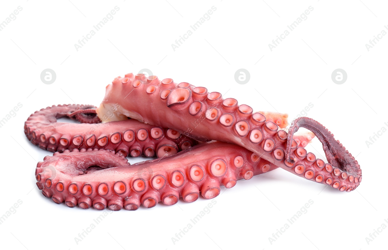 Photo of Three raw octopus tentacles isolated on white