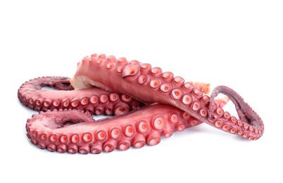 Photo of Three raw octopus tentacles isolated on white