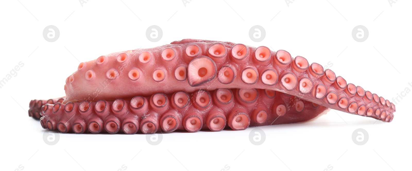 Photo of Two raw octopus tentacles isolated on white