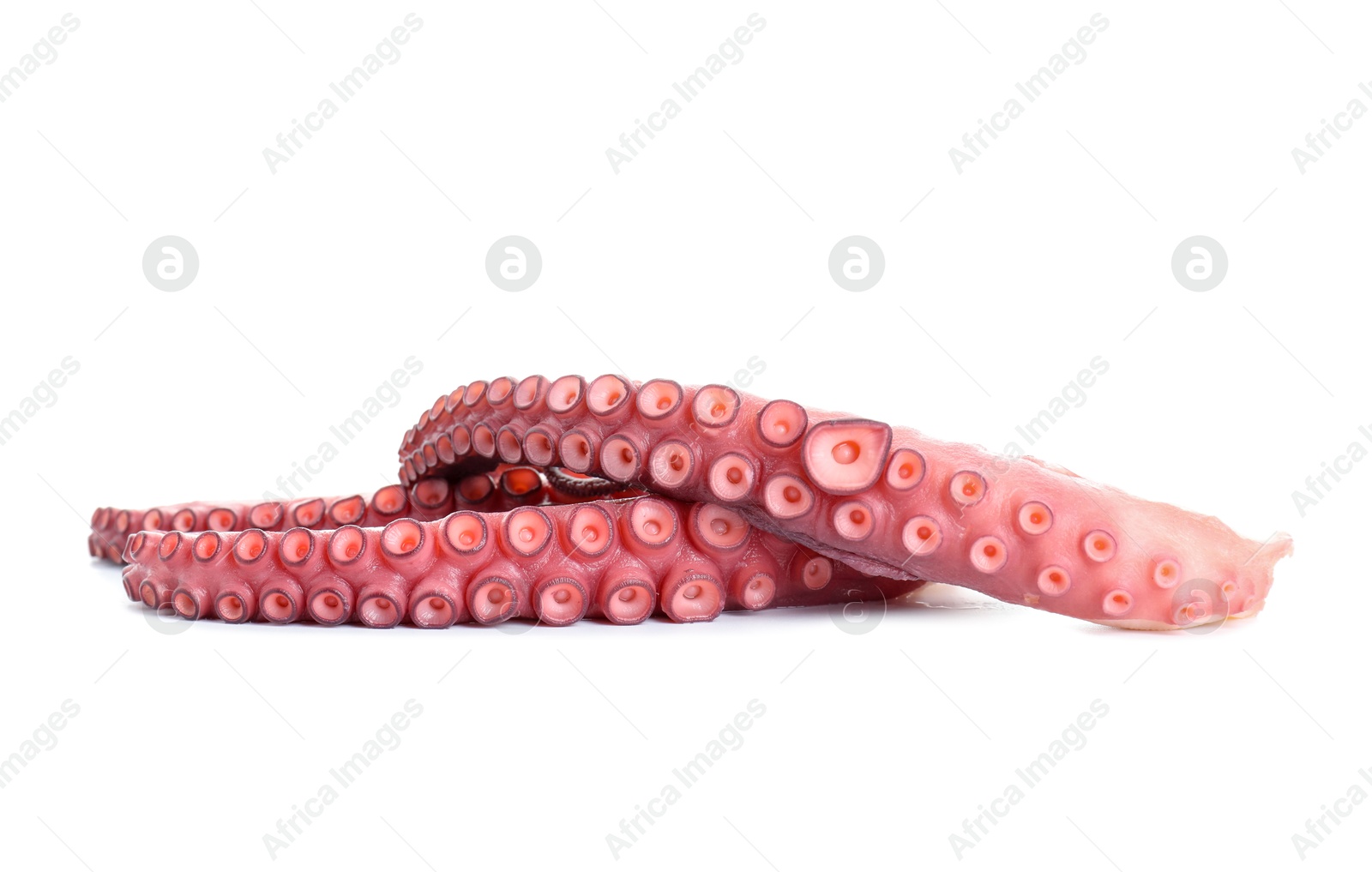 Photo of Two raw octopus tentacles isolated on white