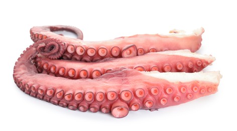 Photo of Three raw octopus tentacles isolated on white