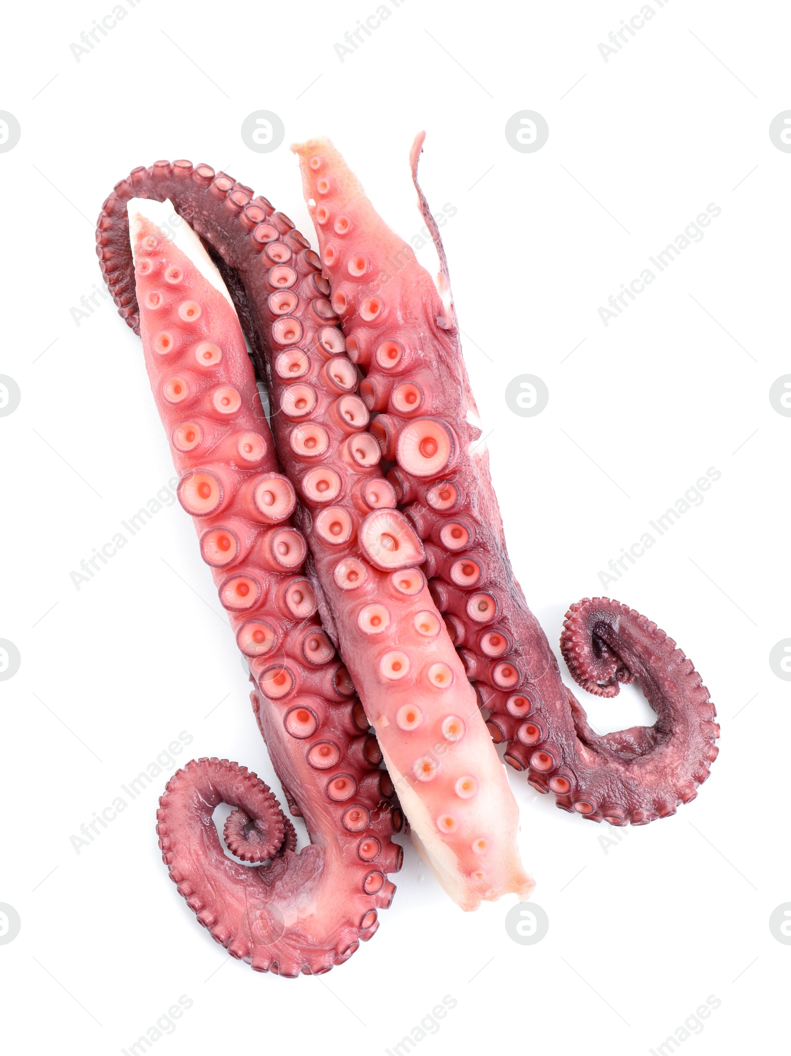 Photo of Three raw octopus tentacles isolated on white, top view