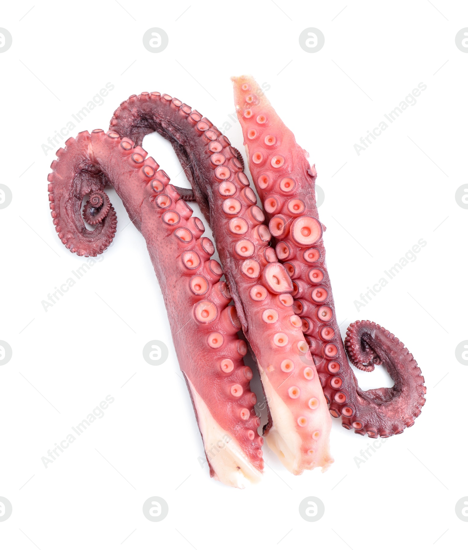 Photo of Three raw octopus tentacles isolated on white, top view