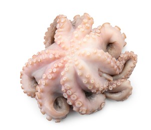 Photo of One fresh raw octopus isolated on white, top view