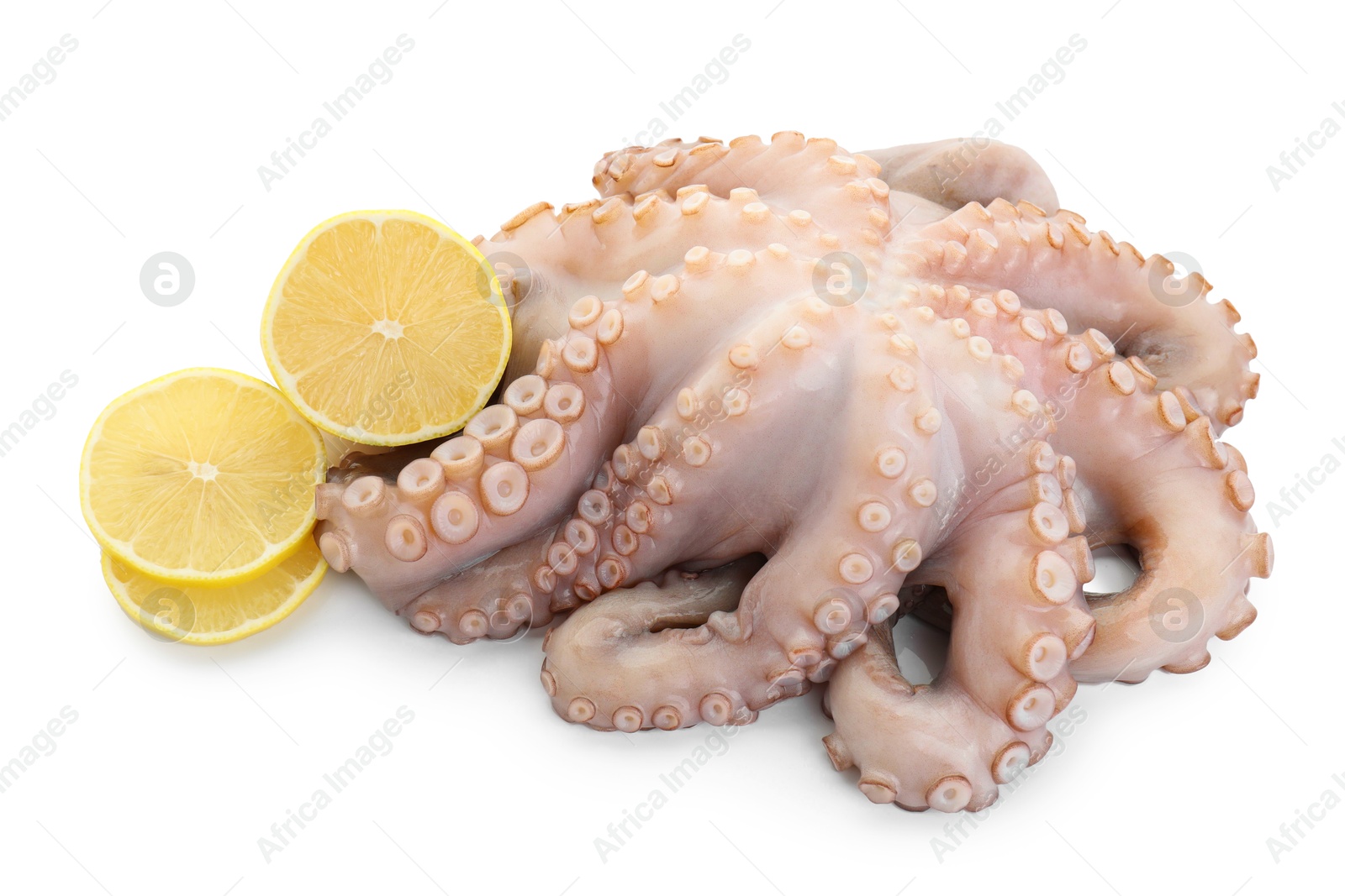 Photo of One fresh raw octopus and lemon slices isolated on white