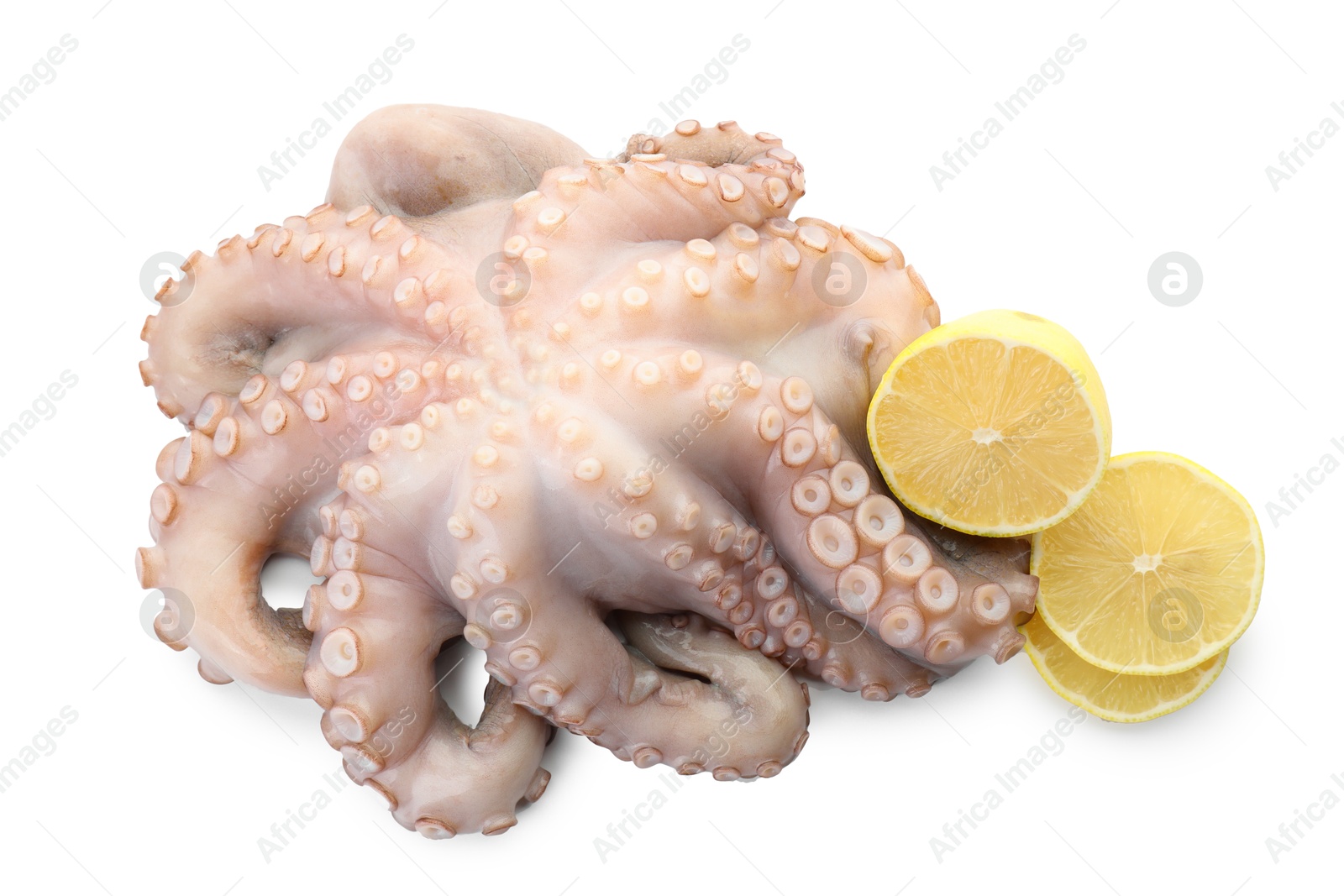 Photo of One fresh raw octopus and lemon slices isolated on white, top view