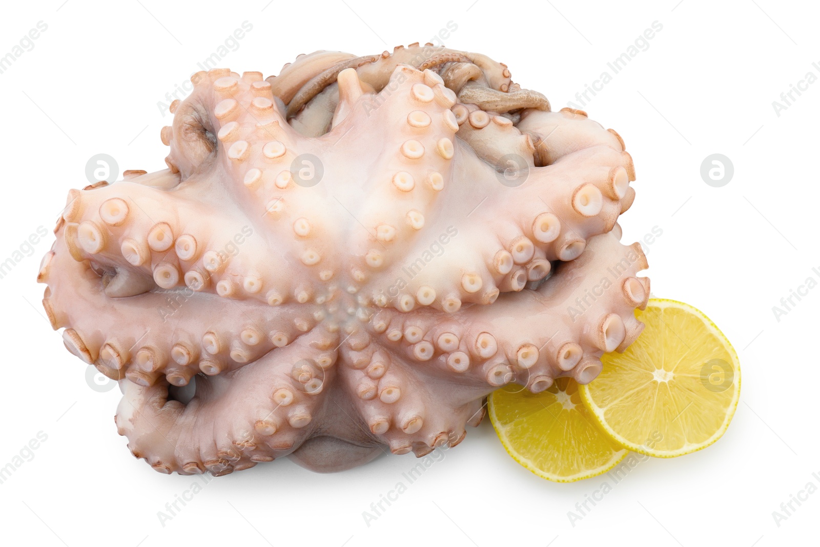 Photo of One fresh raw octopus and lemon slices isolated on white, top view