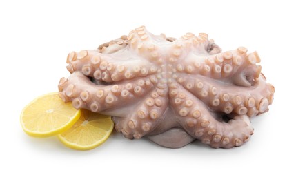 Photo of One fresh raw octopus and lemon slices isolated on white