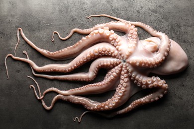 Photo of One fresh raw octopus on grey textured table, top view