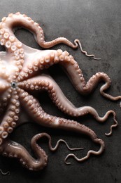 Photo of One fresh raw octopus on grey textured table, top view