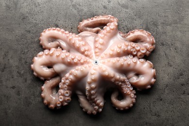 Photo of One fresh raw octopus on grey textured table, top view