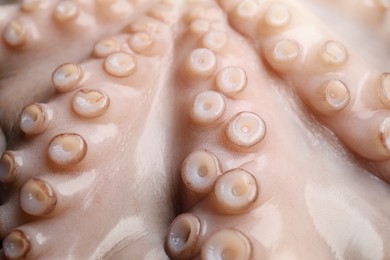 Photo of One fresh raw octopus as background, closeup