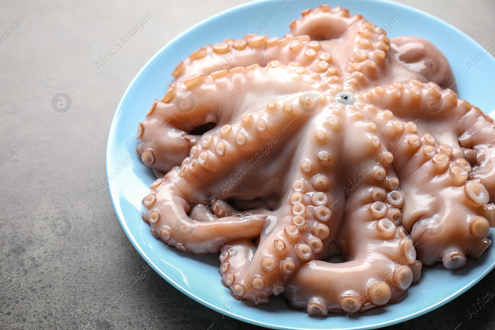 Photo of Plate with raw octopus on grey textured table, closeup