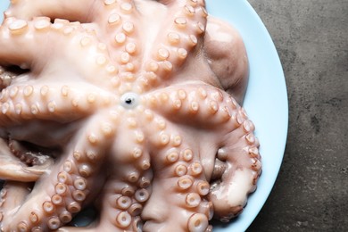 Plate with raw octopus on grey textured table, top view