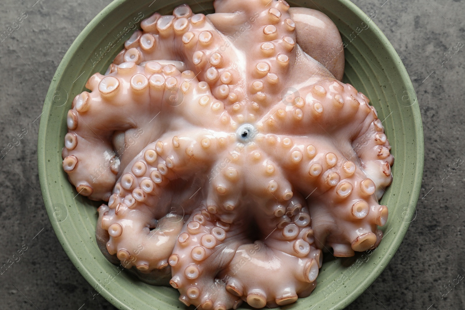 Photo of Raw octopus in bowl on grey textured table, top view