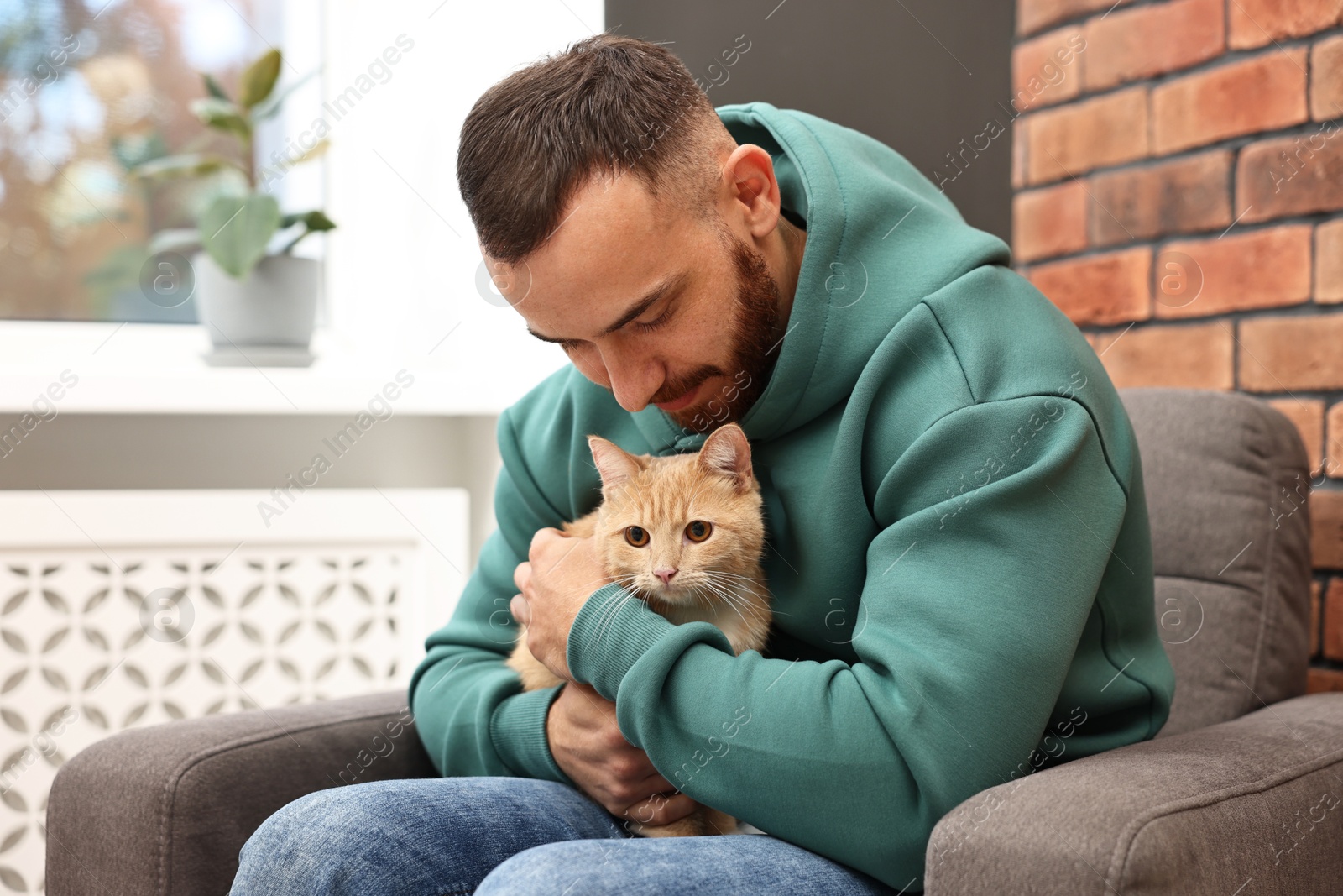 Photo of Man petting cute ginger cat on armchair at home