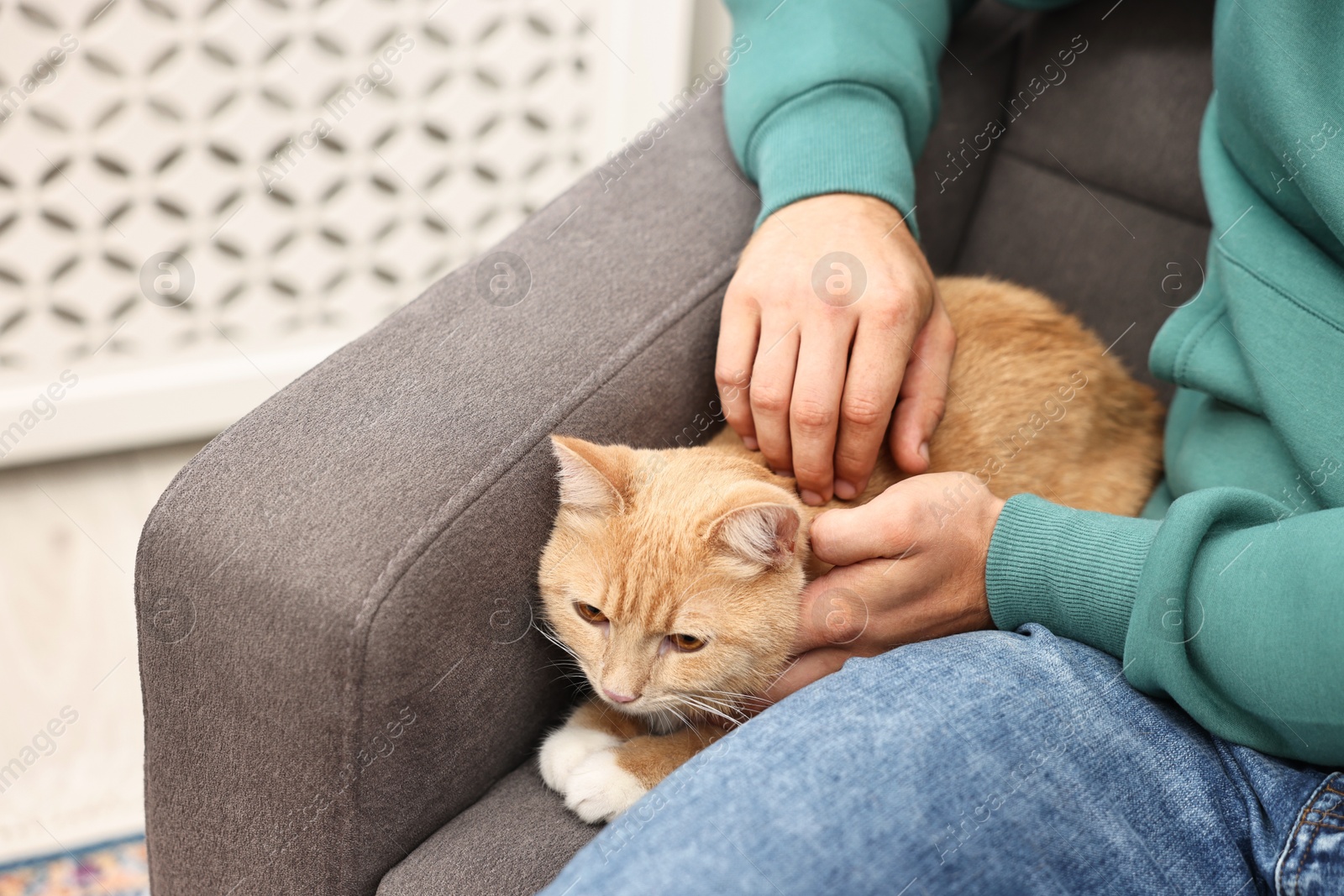 Photo of Man petting cute ginger cat on armchair at home, closeup