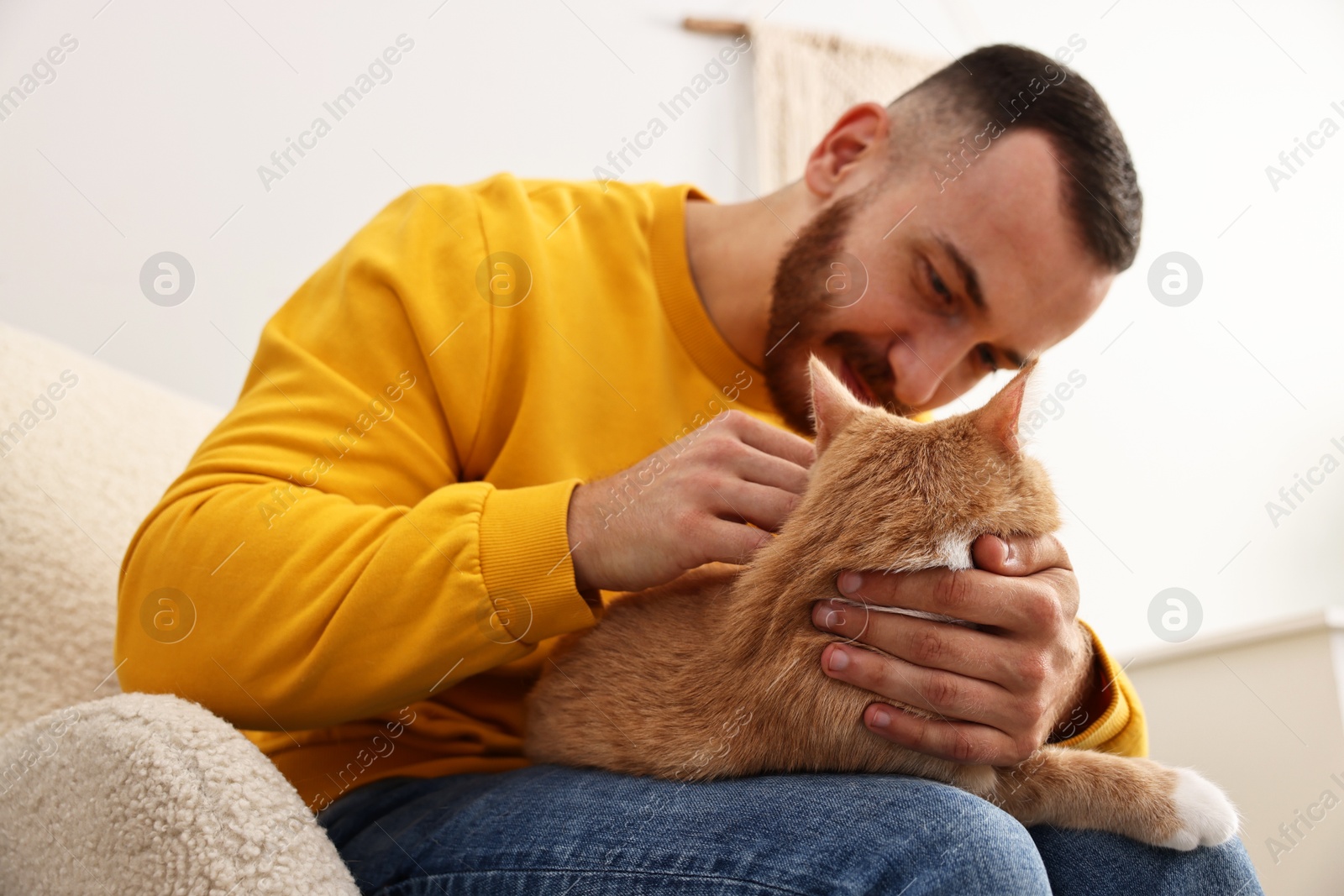 Photo of Man petting cute ginger cat on armchair at home, selective focus