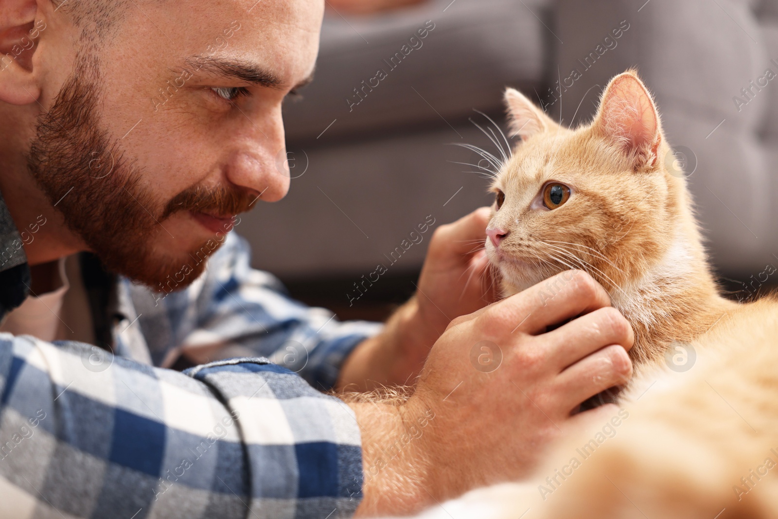 Photo of Man petting cute ginger cat on floor at home