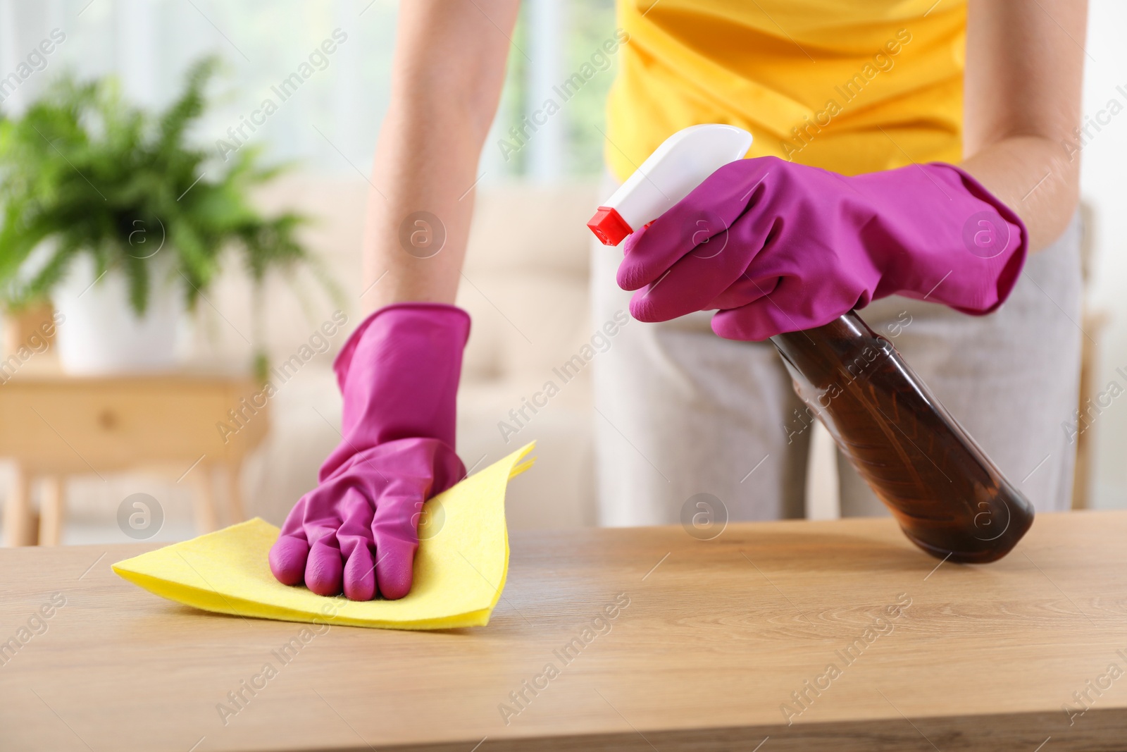 Photo of Woman cleaning table with rag and spray at home, closeup