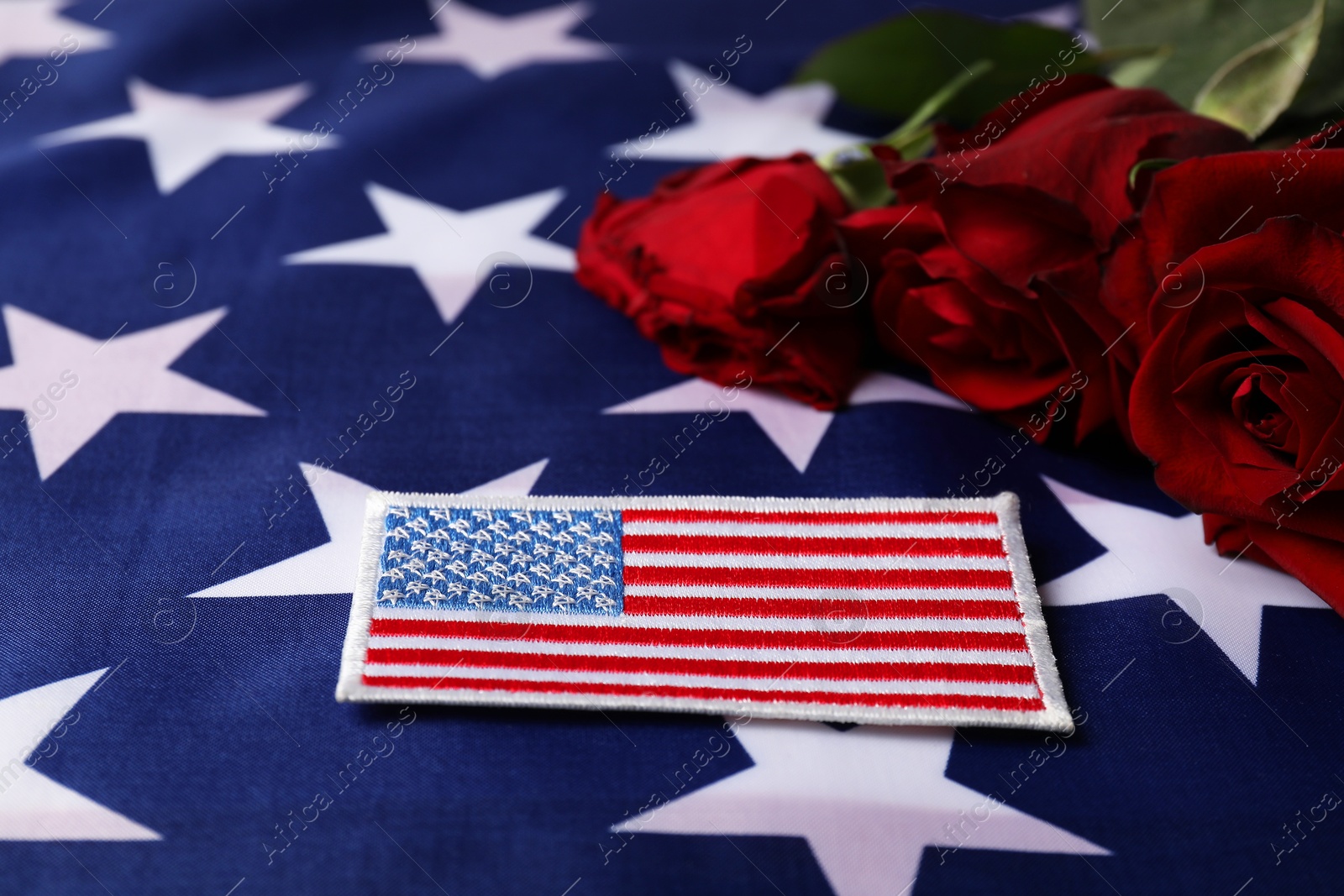 Photo of Veterans day. American army patch and rose flowers on USA flag, closeup