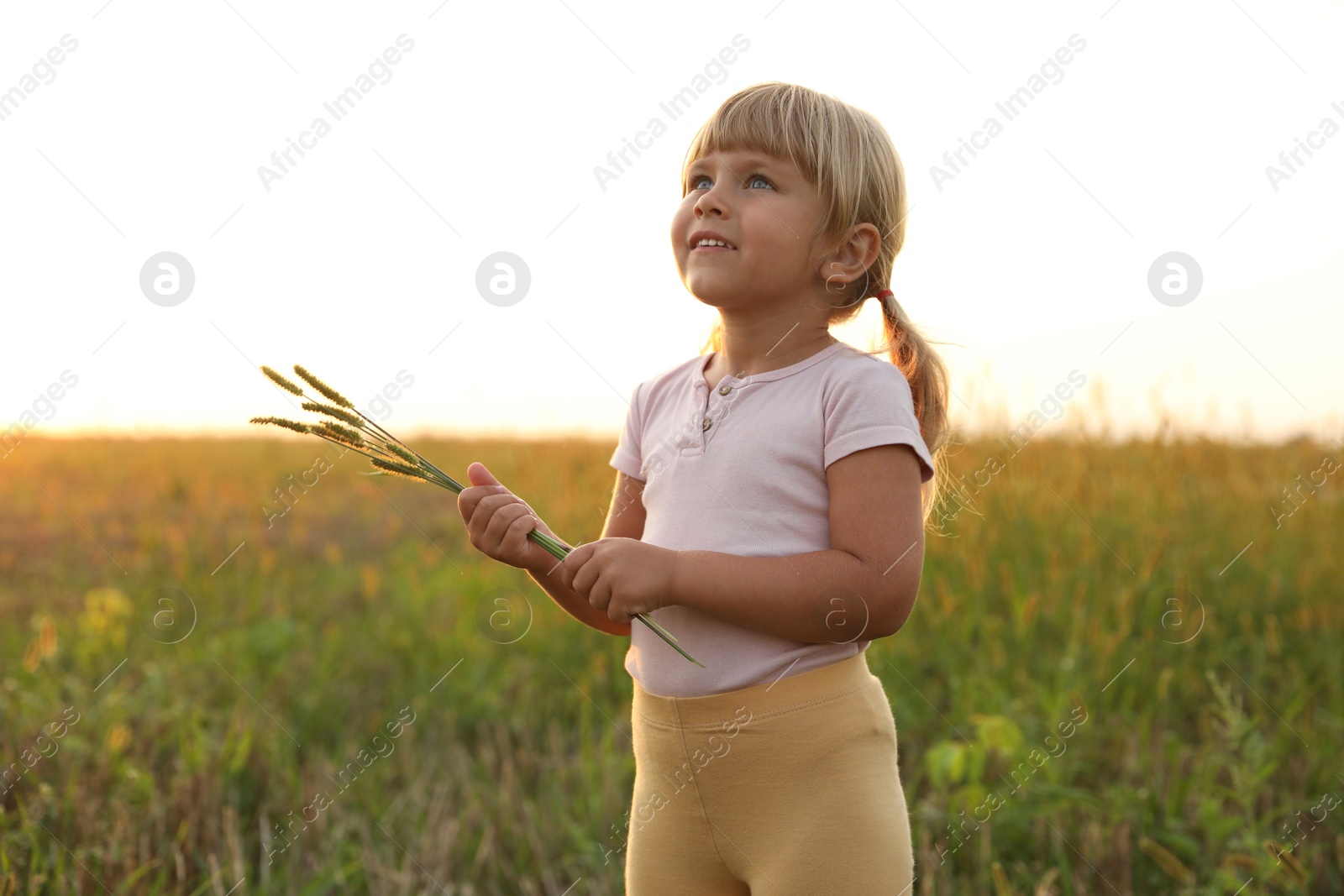 Photo of Cute little girl with plants at meadow. Child enjoying beautiful nature