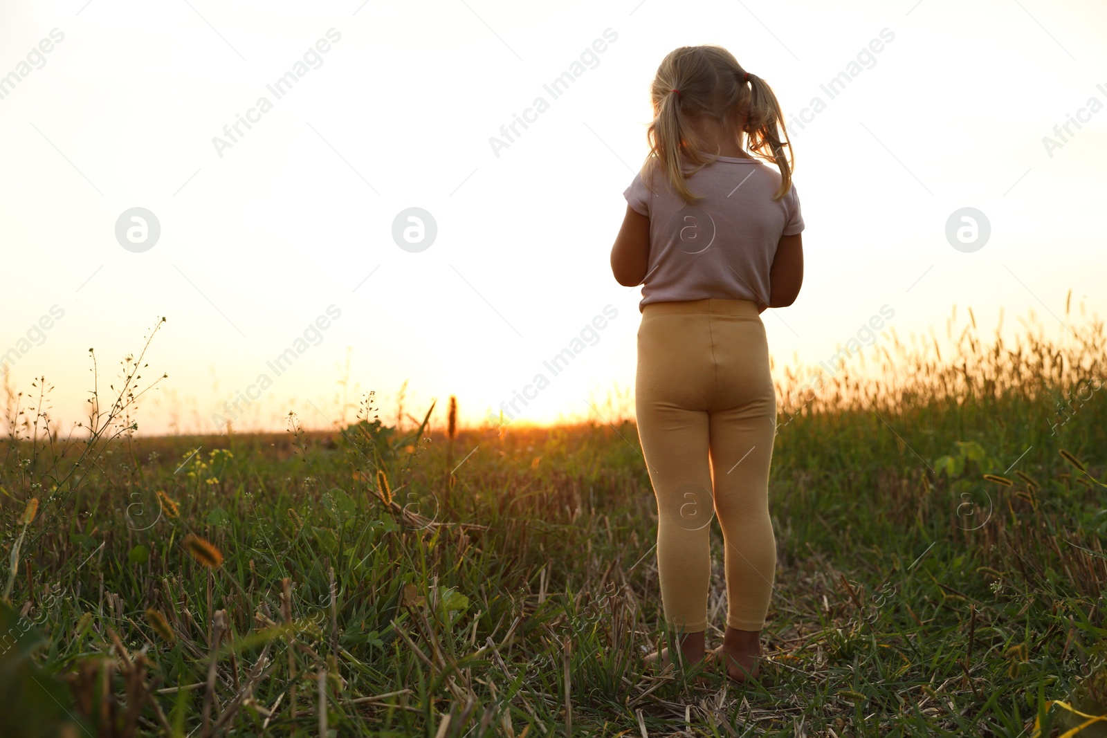 Photo of Cute little girl outdoors at sunset, back view. Child enjoying beautiful nature