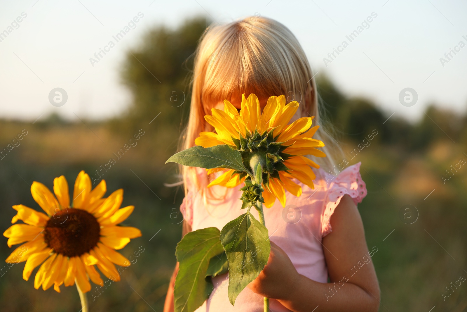 Photo of Little girl with sunflowers at meadow. Child enjoying beautiful nature