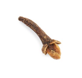 Aromatic spice. Dry clove bud isolated on white, top view