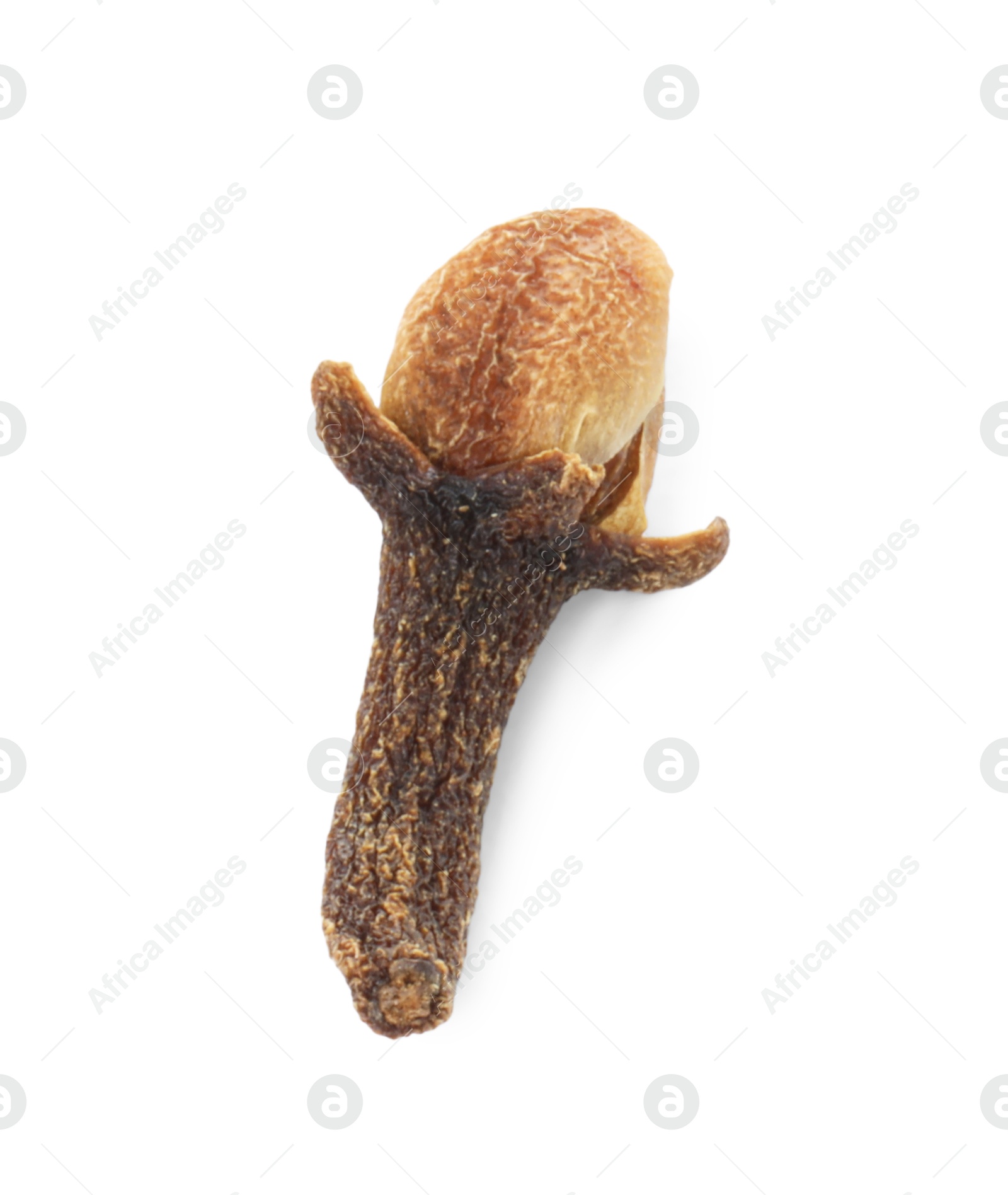 Photo of Aromatic spice. Dry clove bud isolated on white, top view