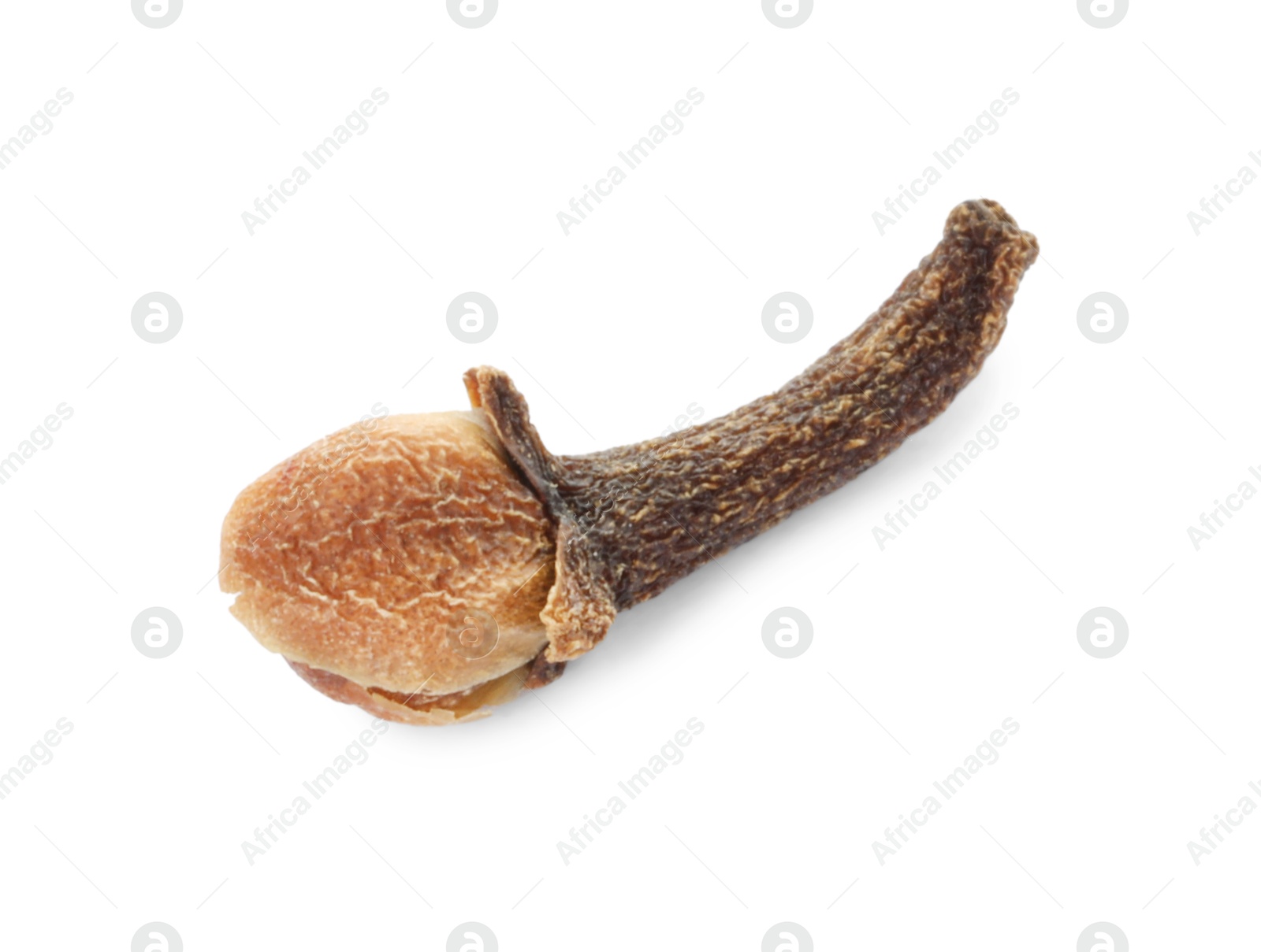 Photo of Aromatic spice. Dry clove bud isolated on white, top view