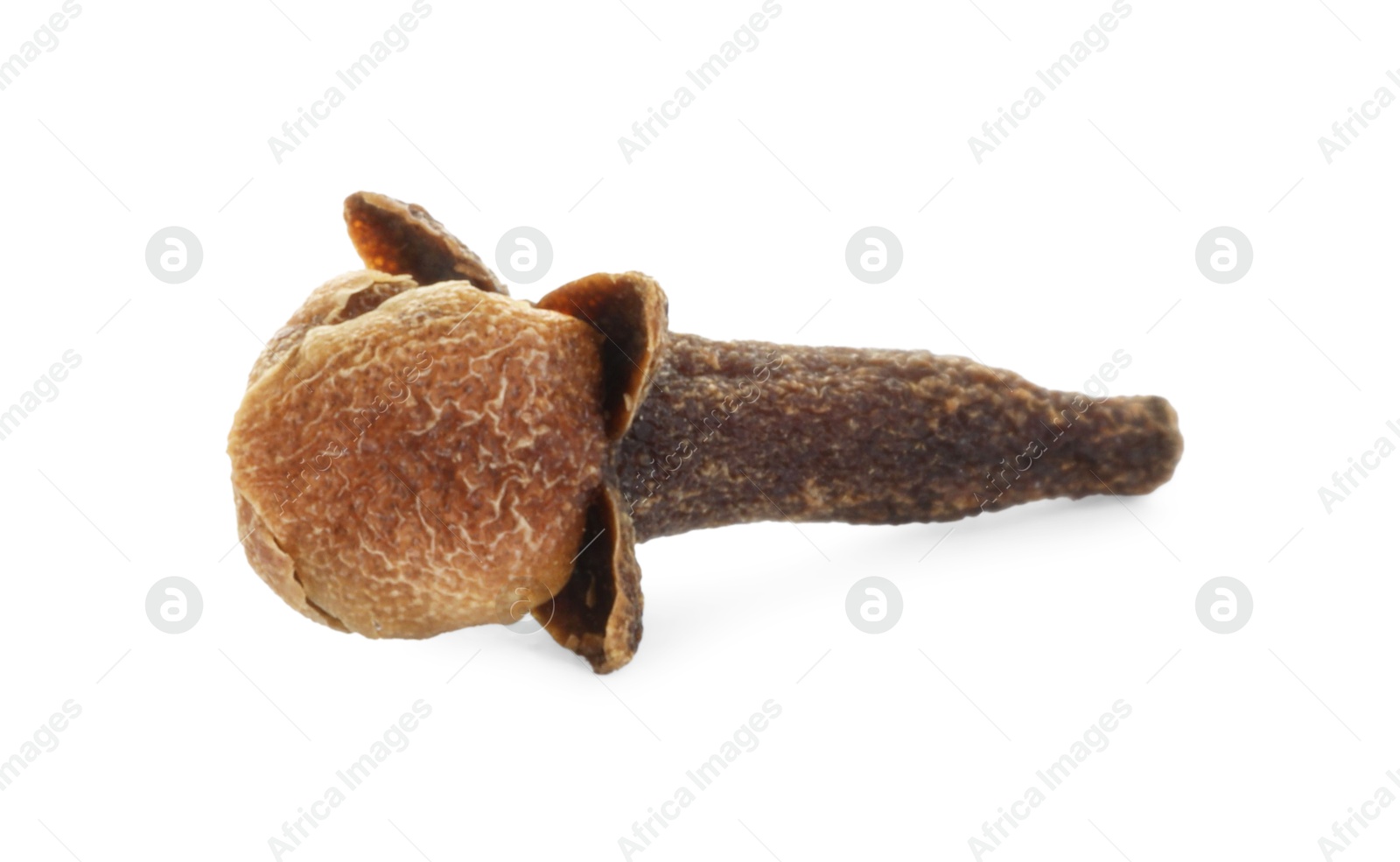 Photo of Aromatic spice. Dry clove bud isolated on white