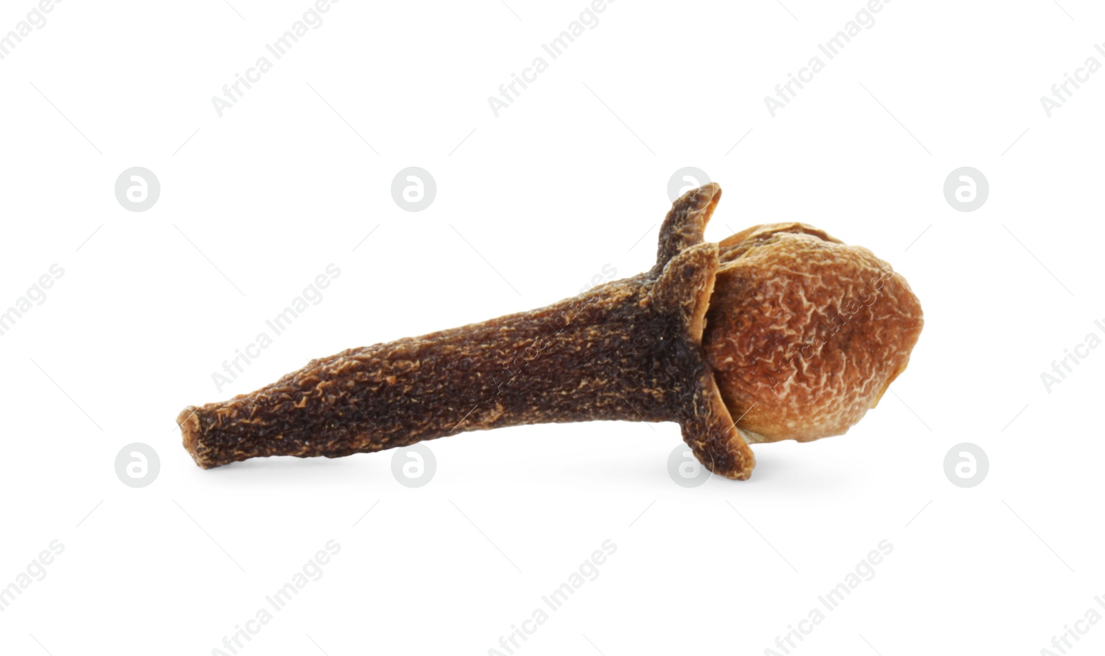 Photo of Aromatic spice. Dry clove bud isolated on white