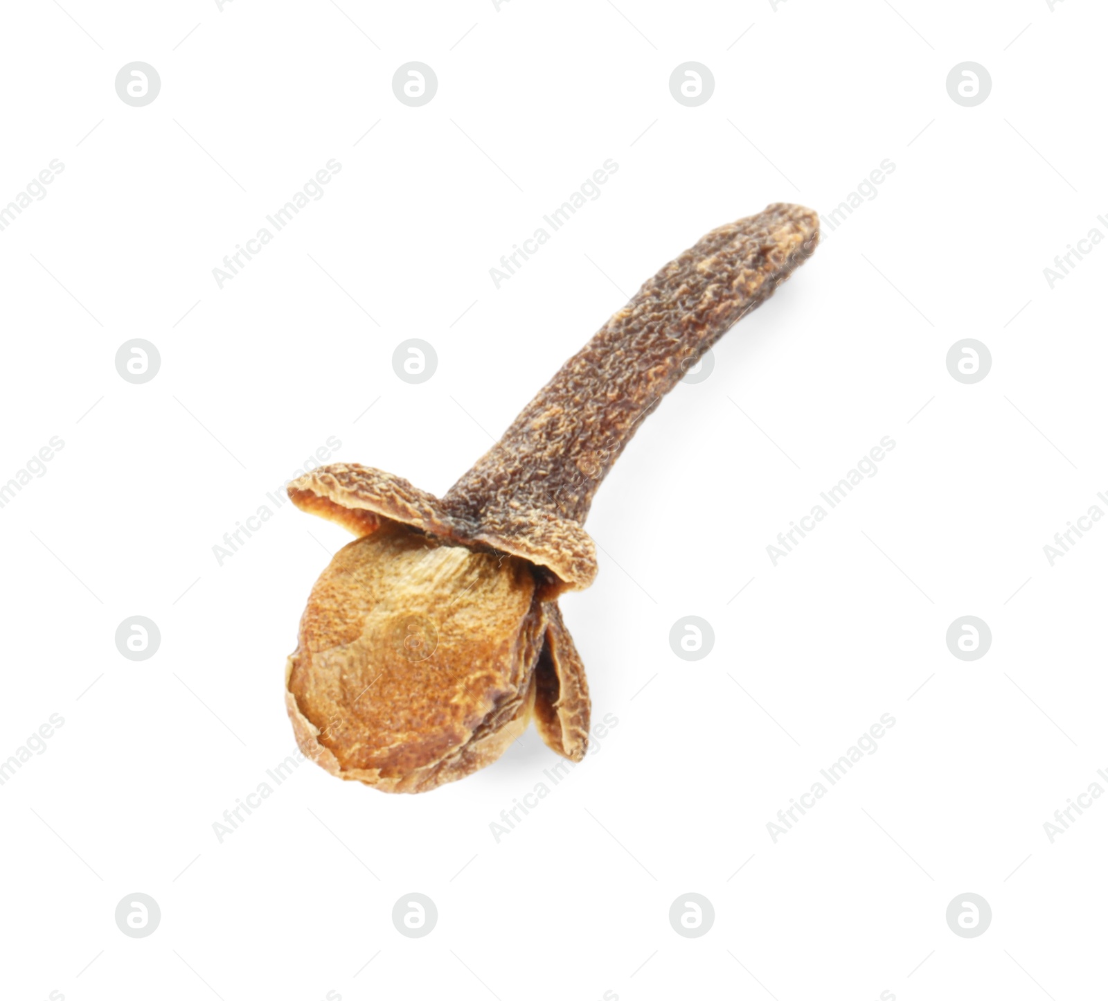 Photo of Aromatic spice. Dry clove bud isolated on white