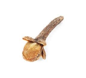 Aromatic spice. Dry clove bud isolated on white