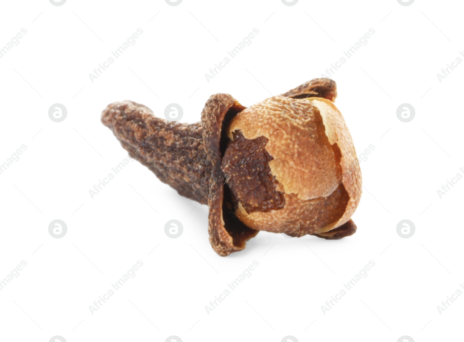 Photo of Aromatic spice. Dry clove bud isolated on white