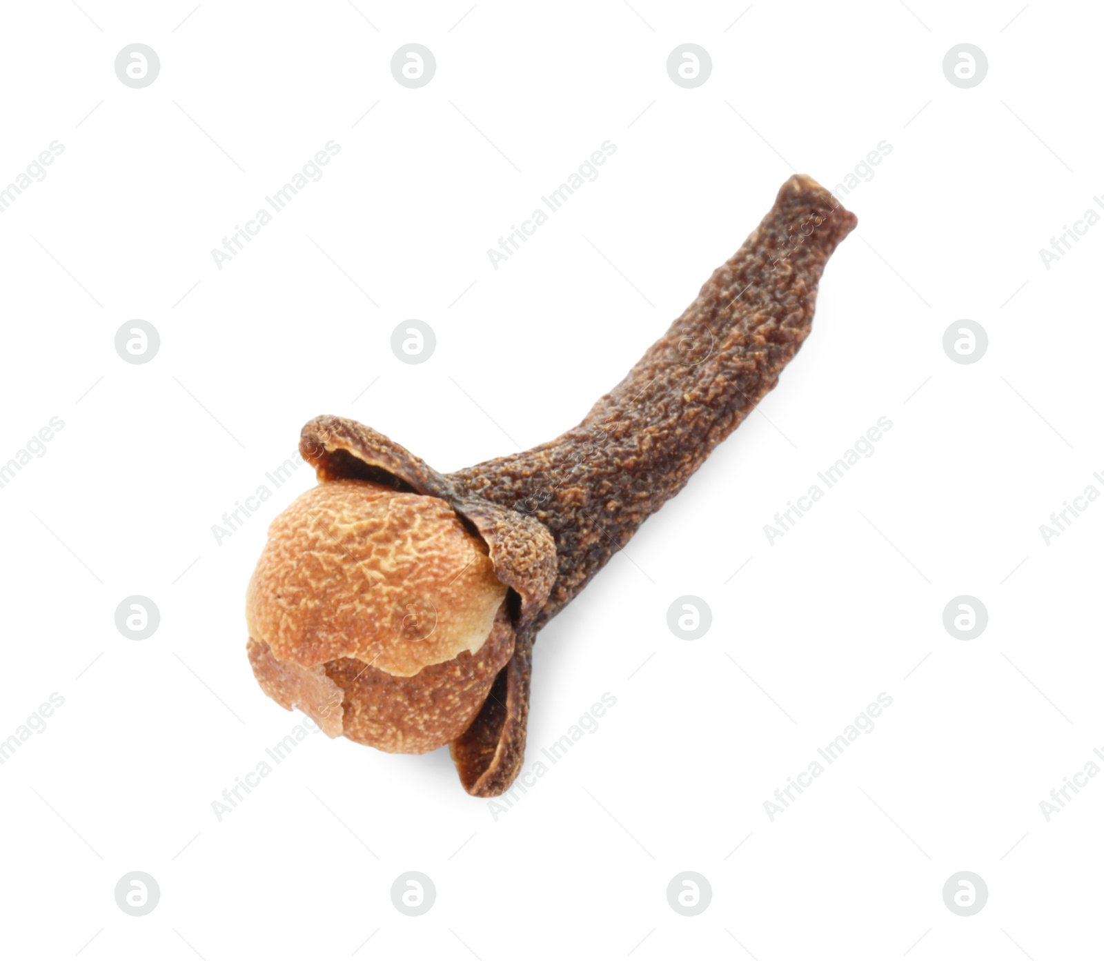 Photo of Aromatic spice. Dry clove bud isolated on white, top view