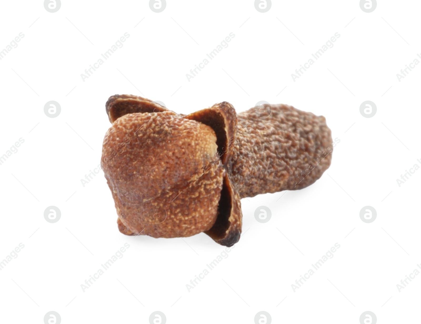 Photo of Aromatic spice. Dry clove bud isolated on white